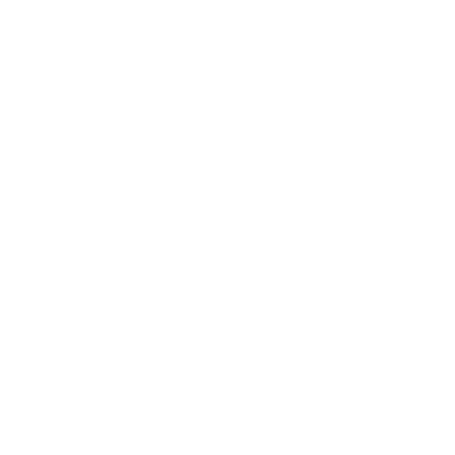 euro (1)